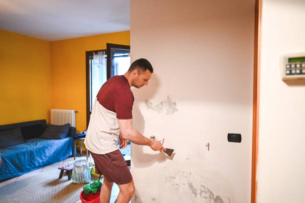 Best Crawl Space Mold Remediation in Florissant, MO